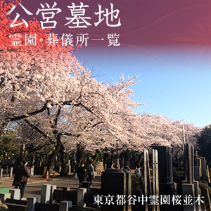 公営墓地　霊園・葬儀所一覧　東京都谷中霊園桜並木