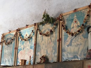 IMG_2271