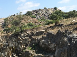 IMG_2274
