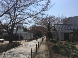 IMG_3068