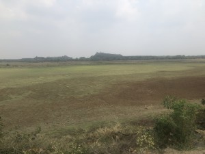 IMG_5077