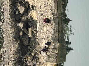 IMG_5096