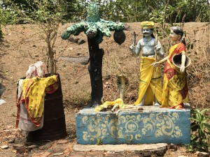 IMG_5101