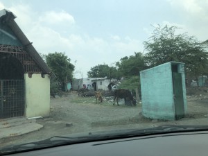 IMG_5112