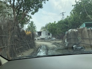 IMG_5113