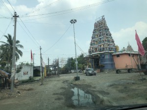 IMG_5118