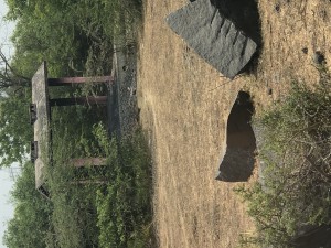 IMG_5137