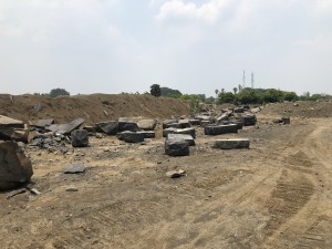 IMG_5155